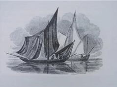Một lịch sử hải thương Việt Nam
